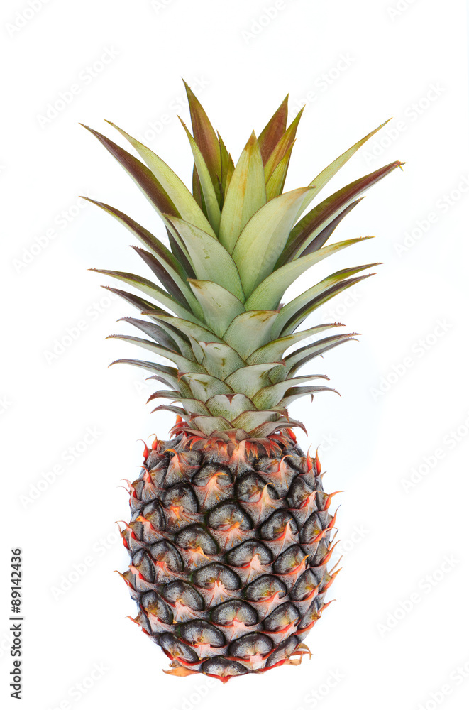 Obraz premium pine apple isolated on white background