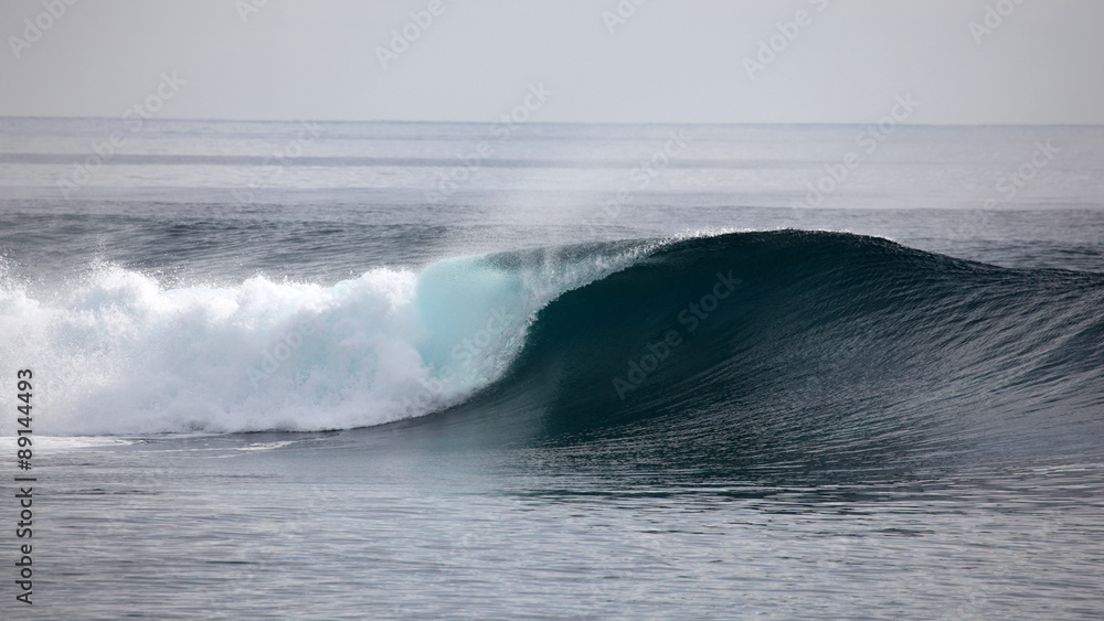 A wave breaks unridden on a shallow coral reef in the Mentawai Islands - Indonesia