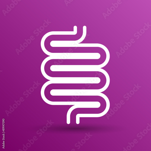 Flat modern design with shadow icons large intestine