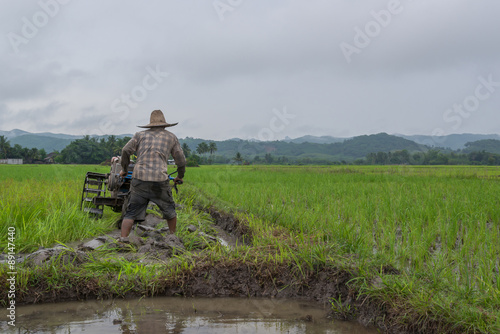 Farmer working planting rice in the paddy field  with cloudy raining day © dusit_sri