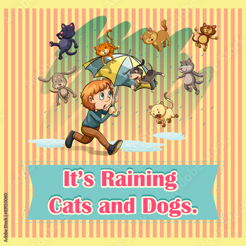 Raining cats and dogs