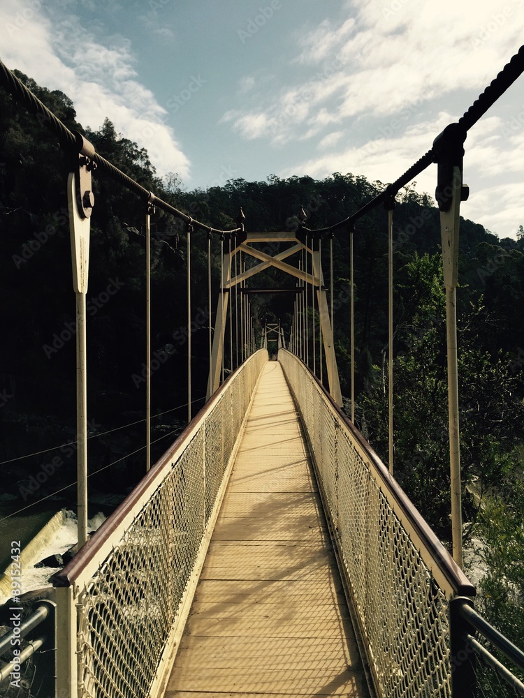 Tasmanian Bridge