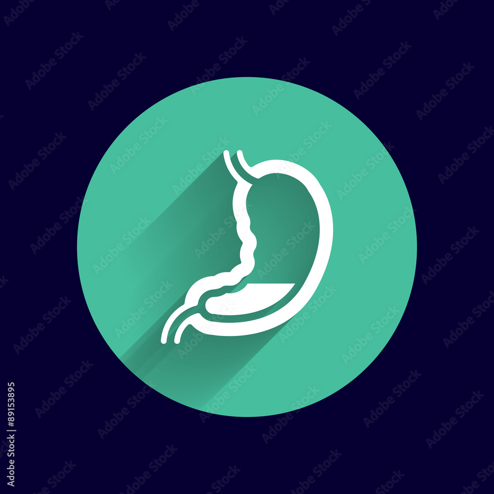 Human stomach icon human cross intestinal Human stomach icon human cross intestinal