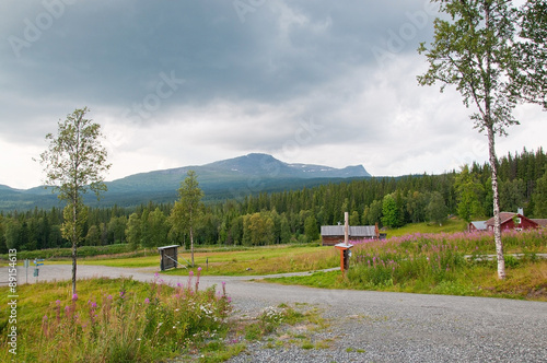 Swedish scenery. Scenic landscape near Ostersund in Northern Sweden on an overcast day. photo