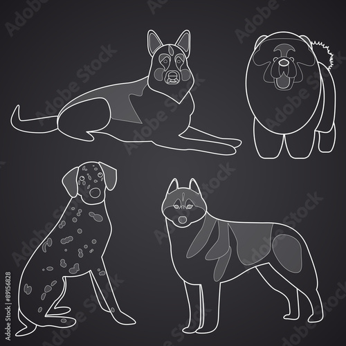 Different breeds of dogs in linear style. Part 2