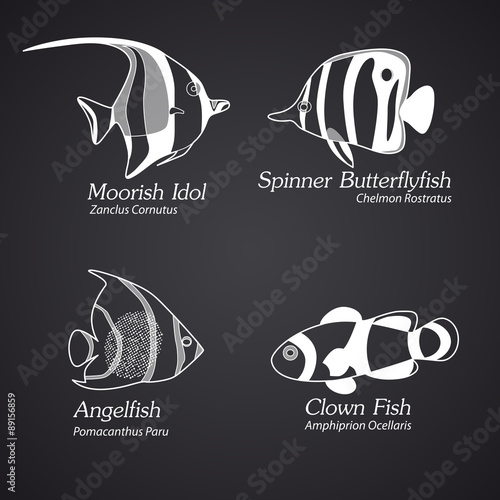 Exotic fish in linear style. Part 2