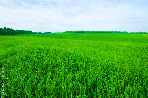 Field background