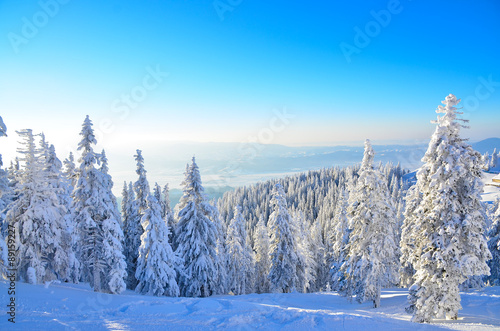 Winter landscape in Poiana Brasov in Romania