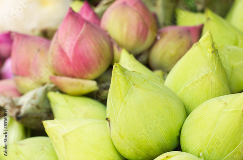 Folded Petal Water-Lily for paying respect to Buddha in Thailand