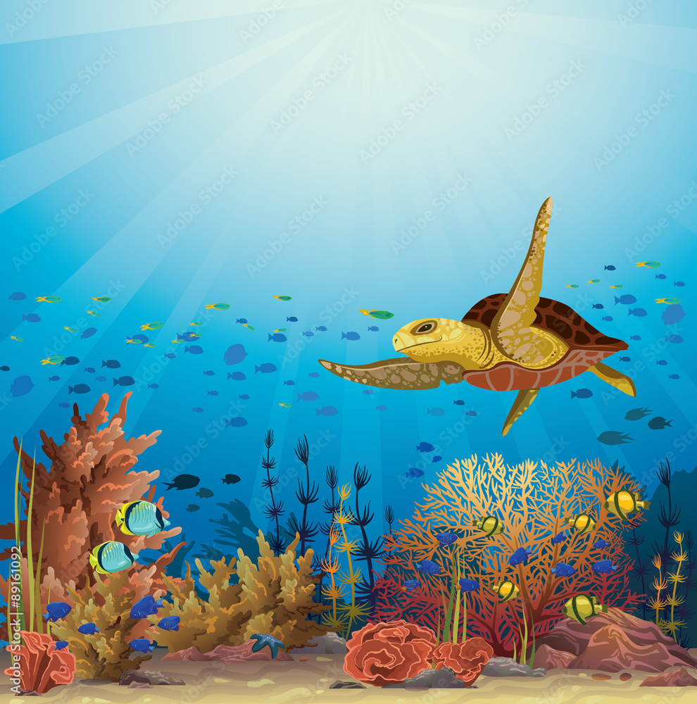 Obraz premium Turtle and coral reef. Underwater vector.