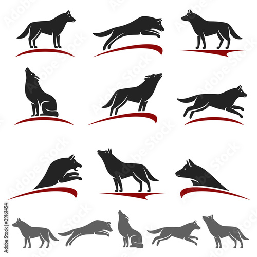 Wolf set. Vector