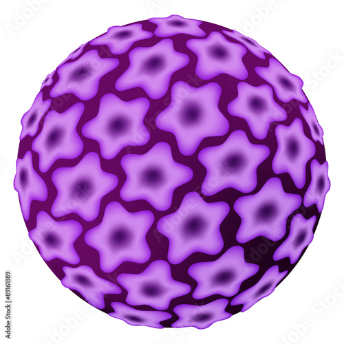 Humane Papillomaviren – HPV