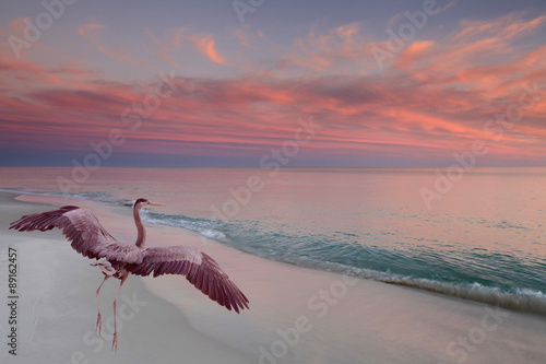 Great Blue Heron Takes Off as the Sun Sets