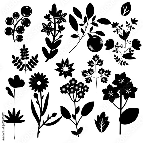 Flowers set