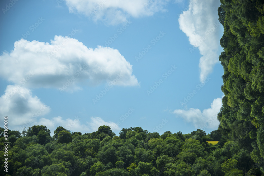 Obraz premium Metamorphisms