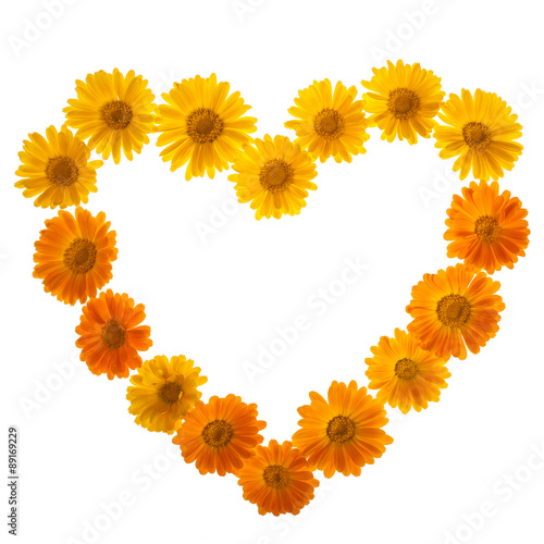 Calendula In Love Shape