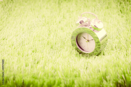 Vintage soft filter ,Silver alarm clock on green grass.