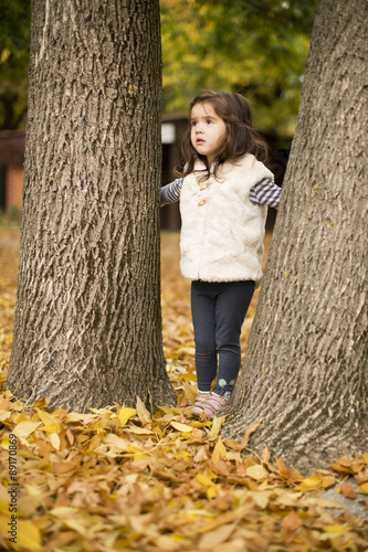 Little girl at the autumn park