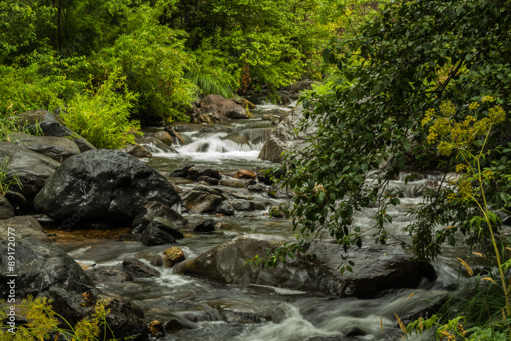 Sedona's Oak Creek on a Cloudy and Rainy Day Sedona's Oak Creek on a Cloudy and Rainy Day