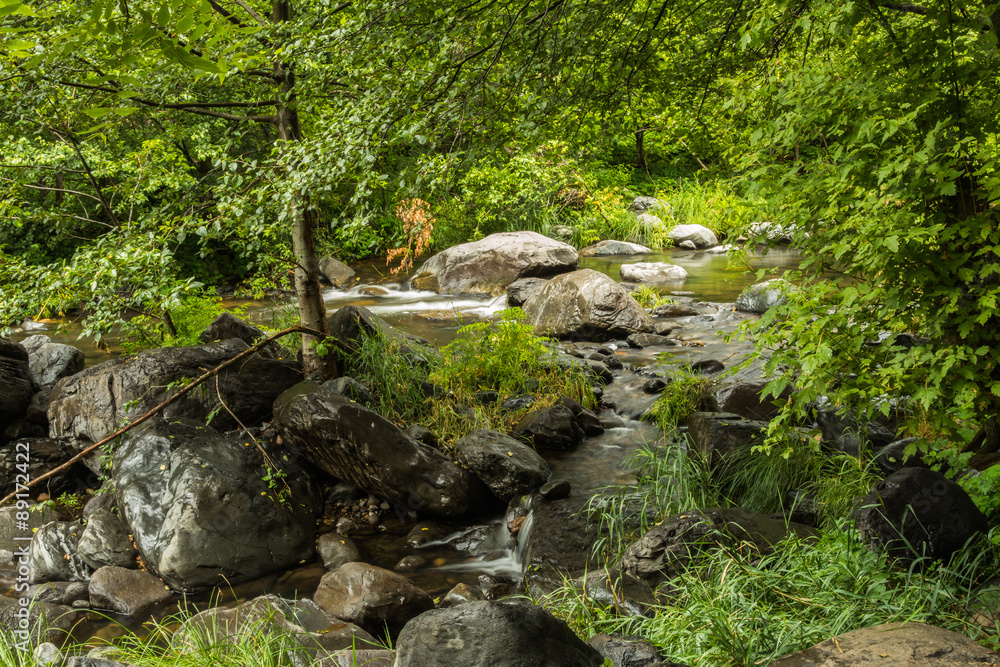 Sedona's Oak Creek on a Cloudy and Rainy Day Sedona's Oak Creek on a Cloudy and Rainy Day