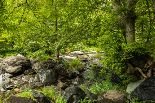 Sedona's Oak Creek on a Cloudy and Rainy Day © jearlwebb