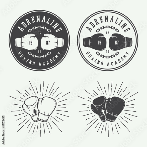 Boxing and martial arts logo badges and labels in vintage style.