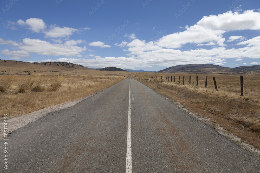 Desert road through grass palins