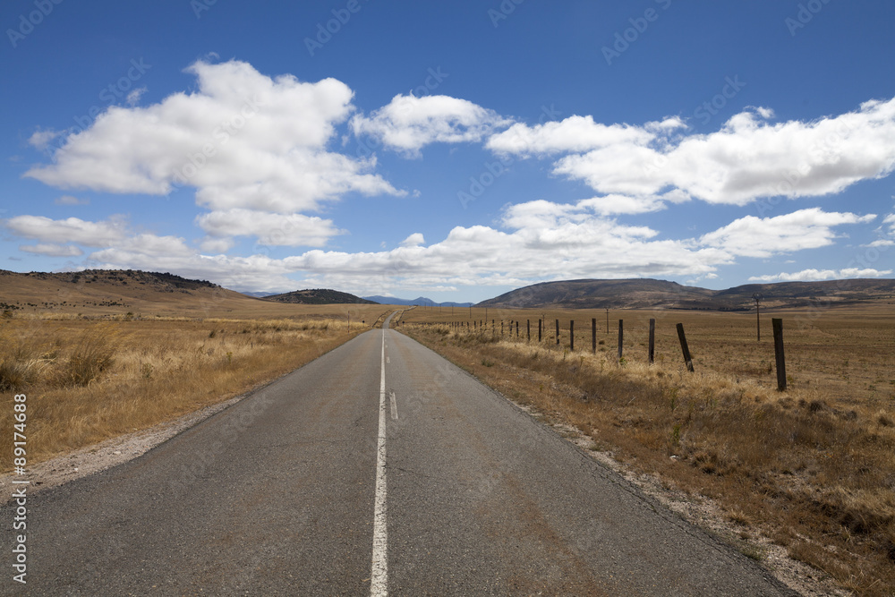 Desert road through grass palins Desert road through grass palins