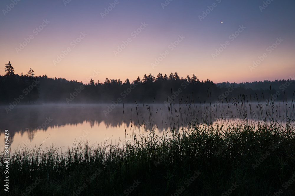 Obraz premium Etang de la gruère