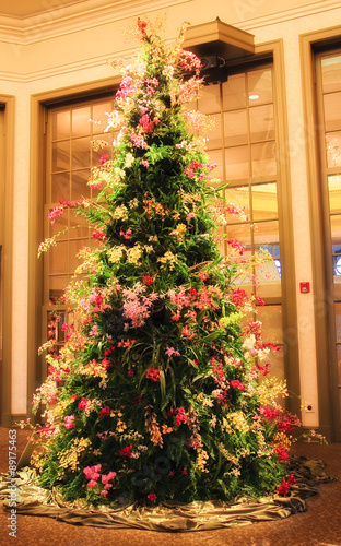 Christmas Tree made of Orchids © Jill Lang