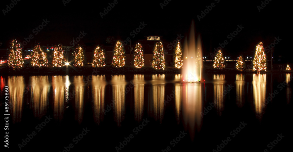 Obraz premium McAdenville Christmas Lights Around a Lake in North Carolina