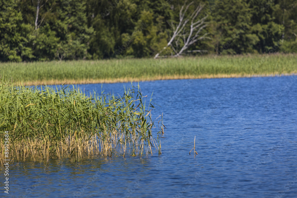 Goldopiwo lake on Masuria in Poland. Goldopiwo lake on Masuria in Poland.