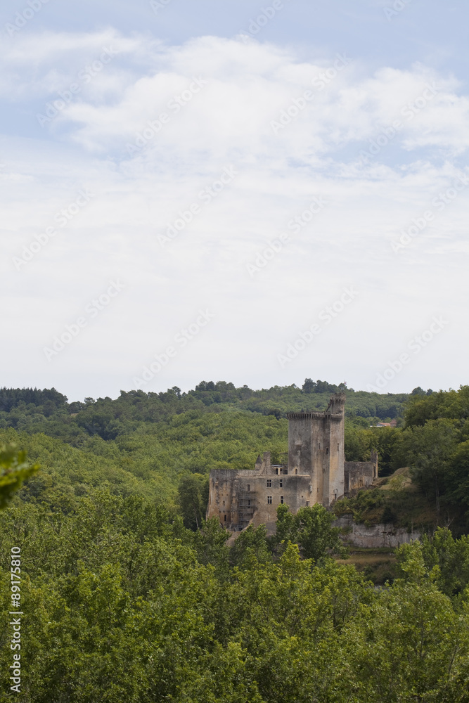 A French Castle in a Forest. In the depth of a large forest a castle appears. Found in the Dordogne region of France.