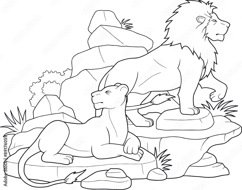 Fototapeta premium lion