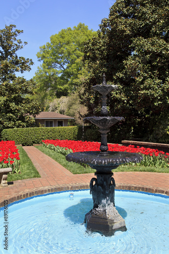 Fototapeta Naklejka Na Ścianę i Meble -  Concord Memorial Gardens Water Fountain and Red Tulips