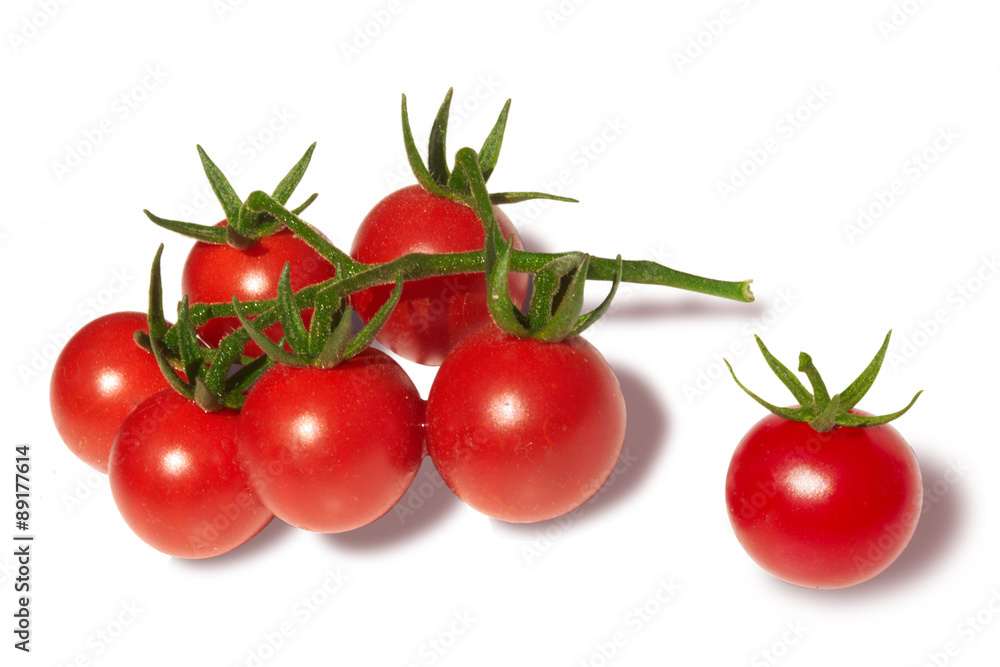 Branch of cherry tomatoes isolated on white Branch of cherry tomatoes isolated on white