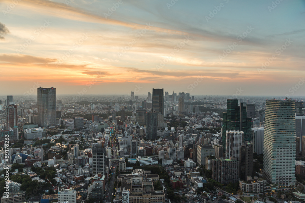 Sunset over Tokyo, Japan capital city
