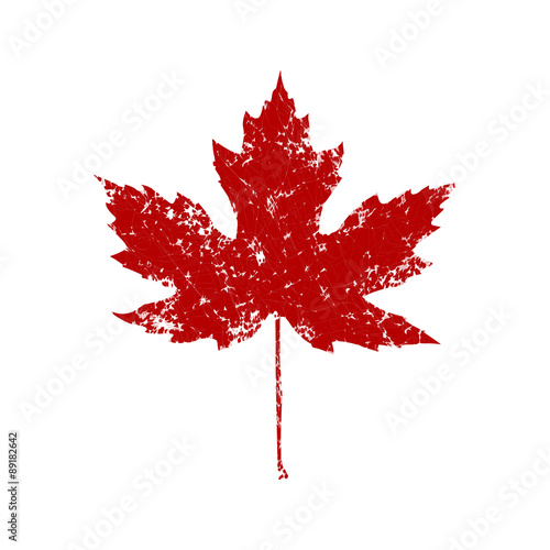Autumnal Maple Leaf splash silhouette