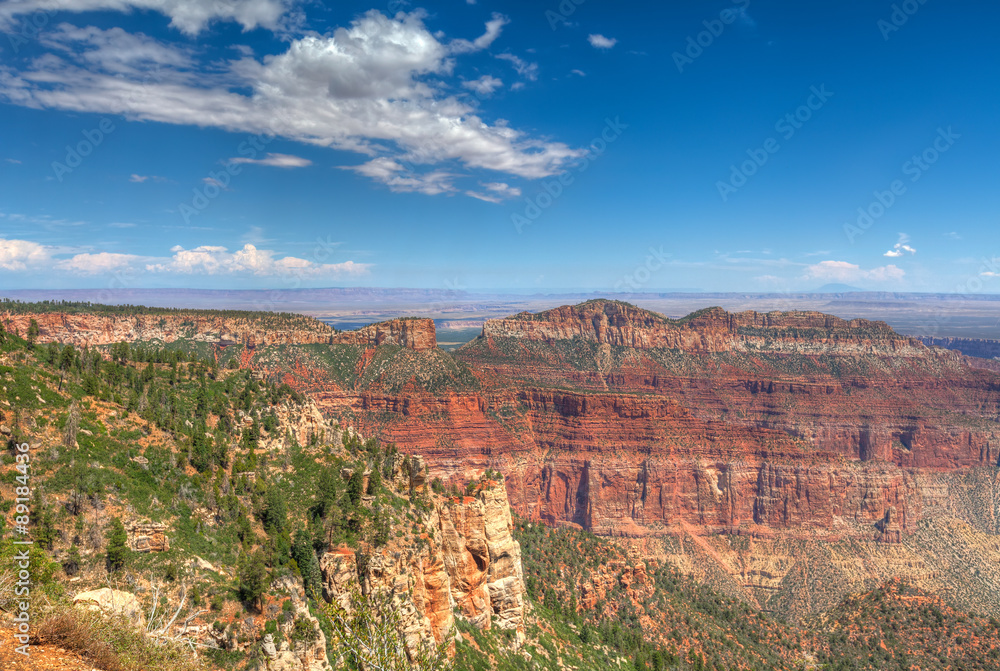 AZ-Grand Canyon-North Rim-Timp Point.  This is a remote area of the North Rim, where a permit is necessary in order to camp in this area.