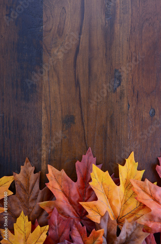 Autumn Fall background