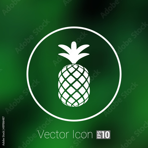 Pineapple closeup cartoon sketch hand drawn illustration