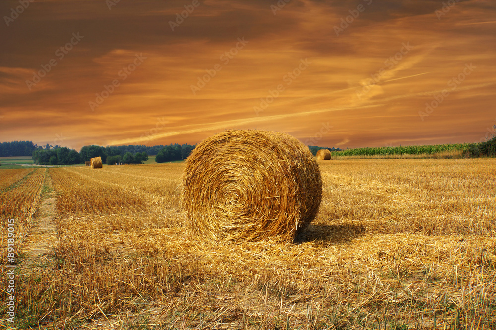 Field with bales of hay with beautiful sunset Field with bales of hay with beautiful sunset