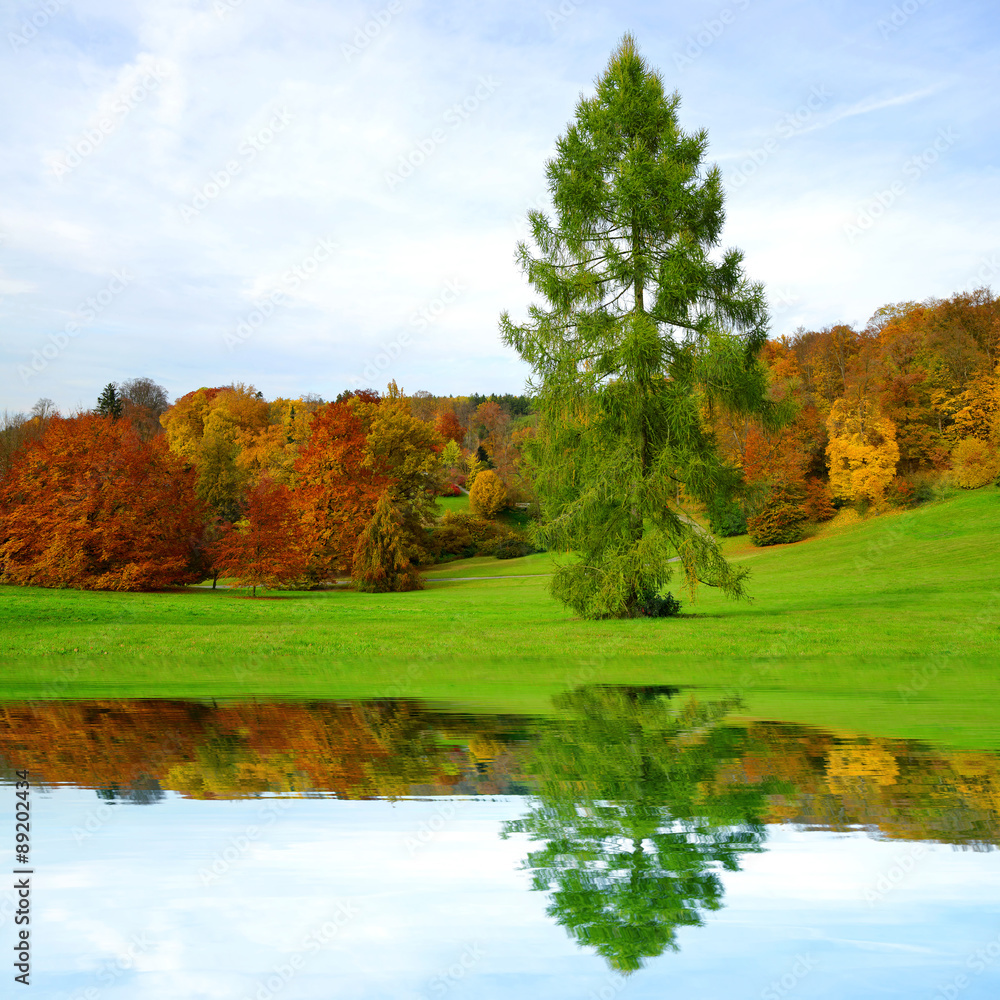 Autumn in the Park Autumn in the Park