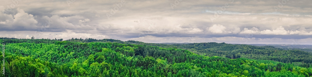 Obraz premium Panorama landscape from Denmark