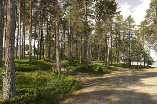 Финляндия. Сосновый бор. Парк отдыха.