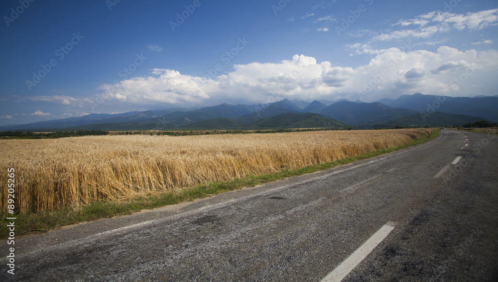 Fototapeta premium Road along edge of a wheat field, blue sky and mountains in background