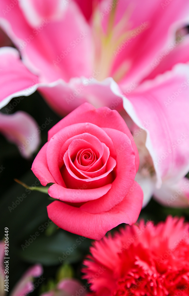 Beautiful pink rose inside a flower bouquet Beautiful pink rose inside a flower bouquet