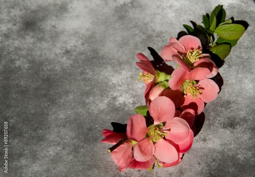 Condolence card with flowers - with deepest sympathy photo