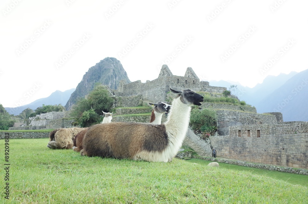 Naklejka premium machu picchu