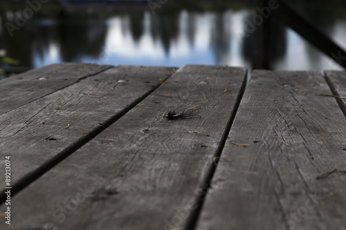 A lure with feathers on a table of wood and reflections from the water